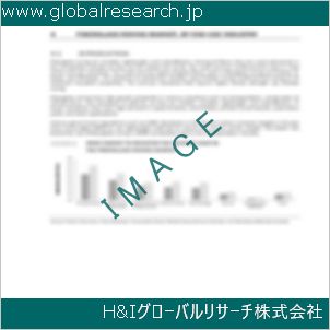 グローバルリサーチ調査資料のイメージ